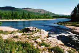 ����� �.�������